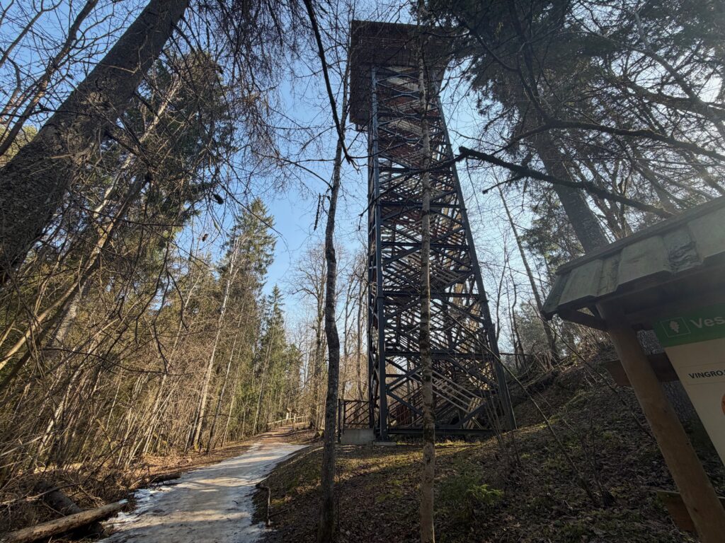 Lielie Kangari bog trail boardwalk Latvia
