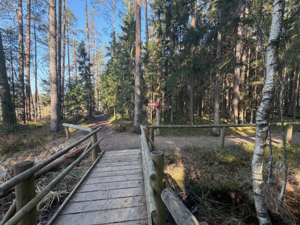 Lielie Kangari bog trail boardwalk Latvia