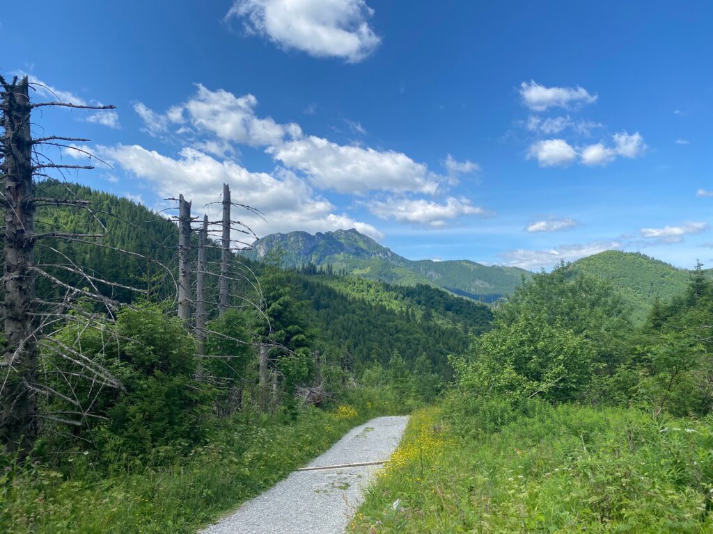 Kościelisko Valley to Małej Łąki Valley (Zakopane)