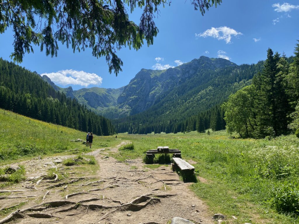Kościelisko Valley to Małej Łąki Valley (Zakopane)