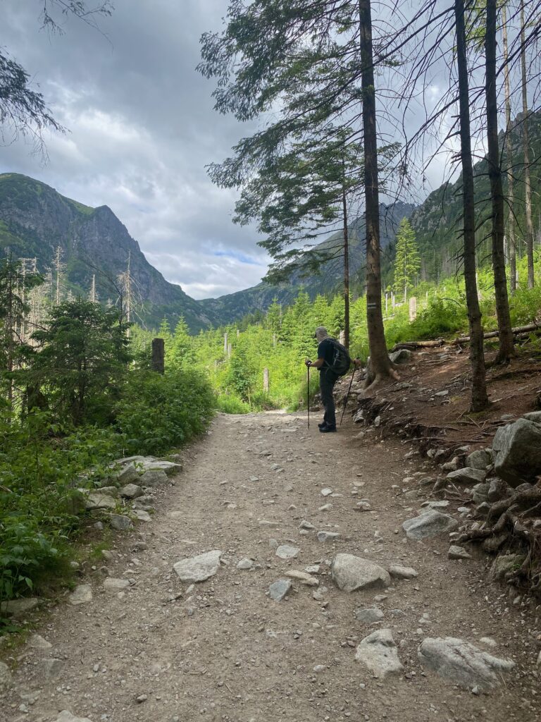 Roztoka Valley 