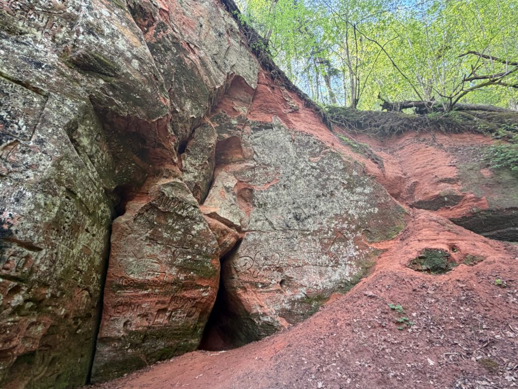 Sigulda classic: Kraukļa Aiza · Pētera Ala · Gleznotāju Kalns