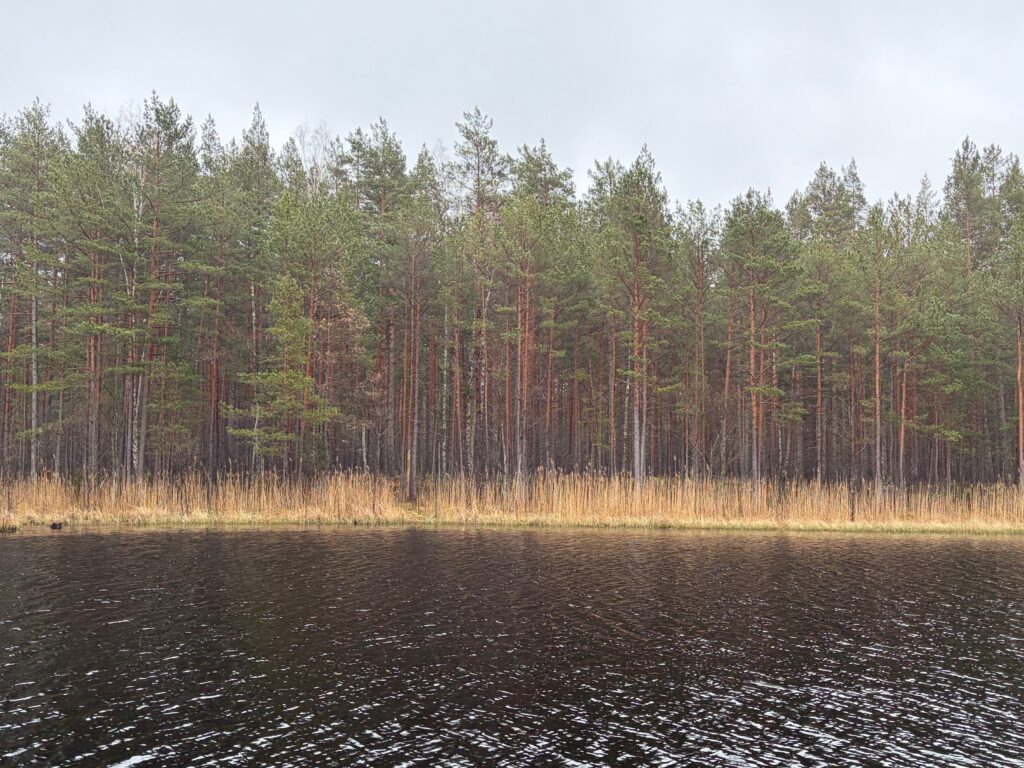Three Lakes Lilaste Latvia