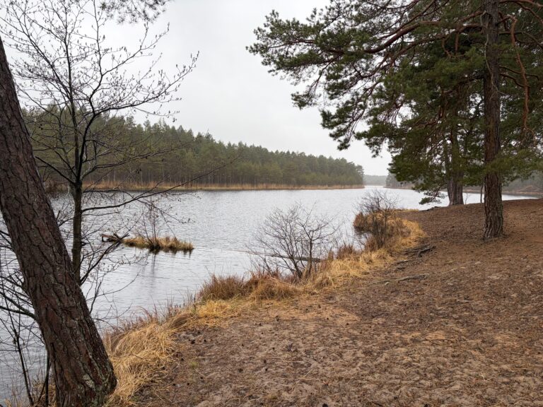 Three Lakes and the Baltic Sea – A Day Hike from Lilaste