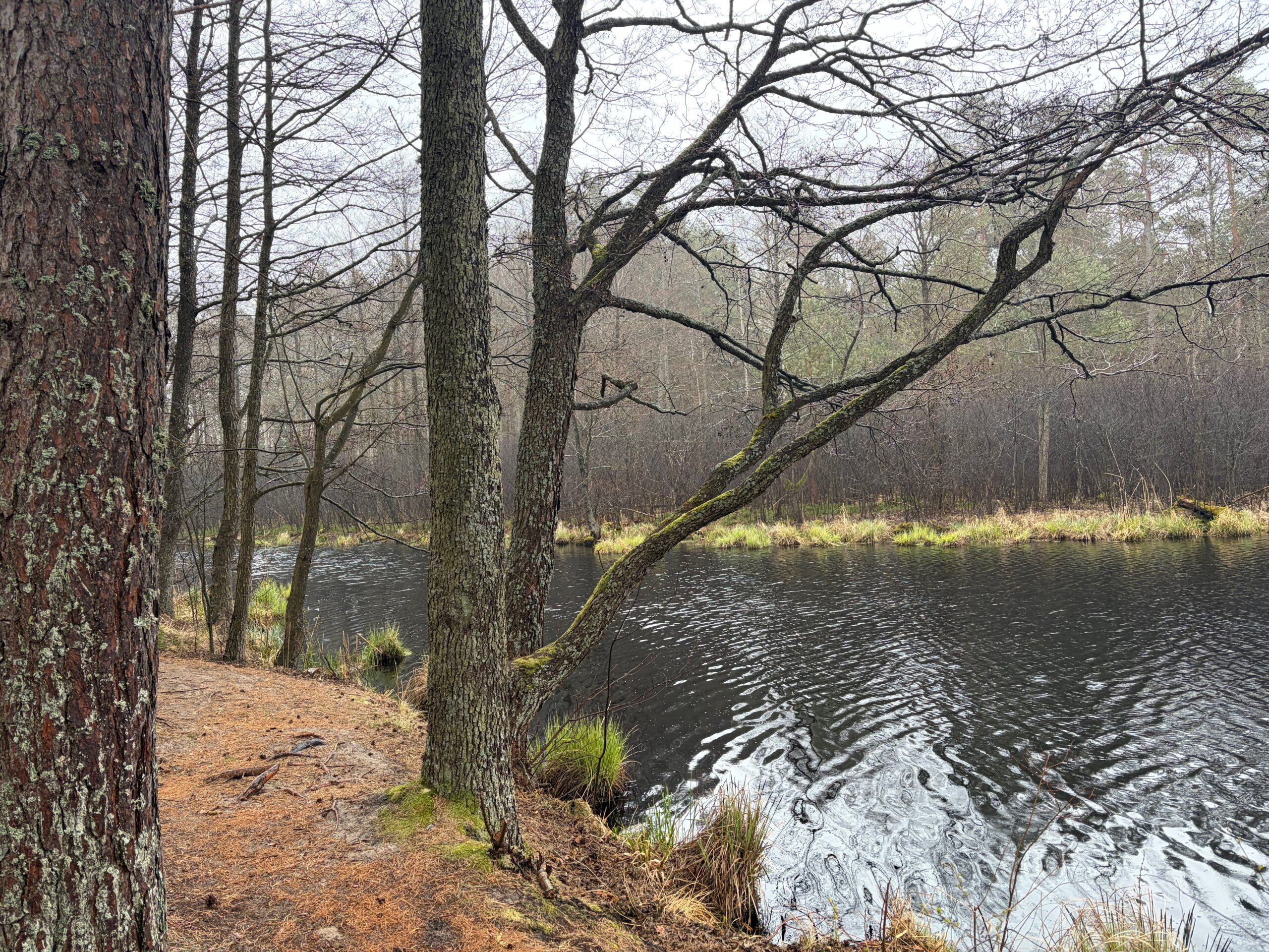 Three Lakes Lilaste Latvia
