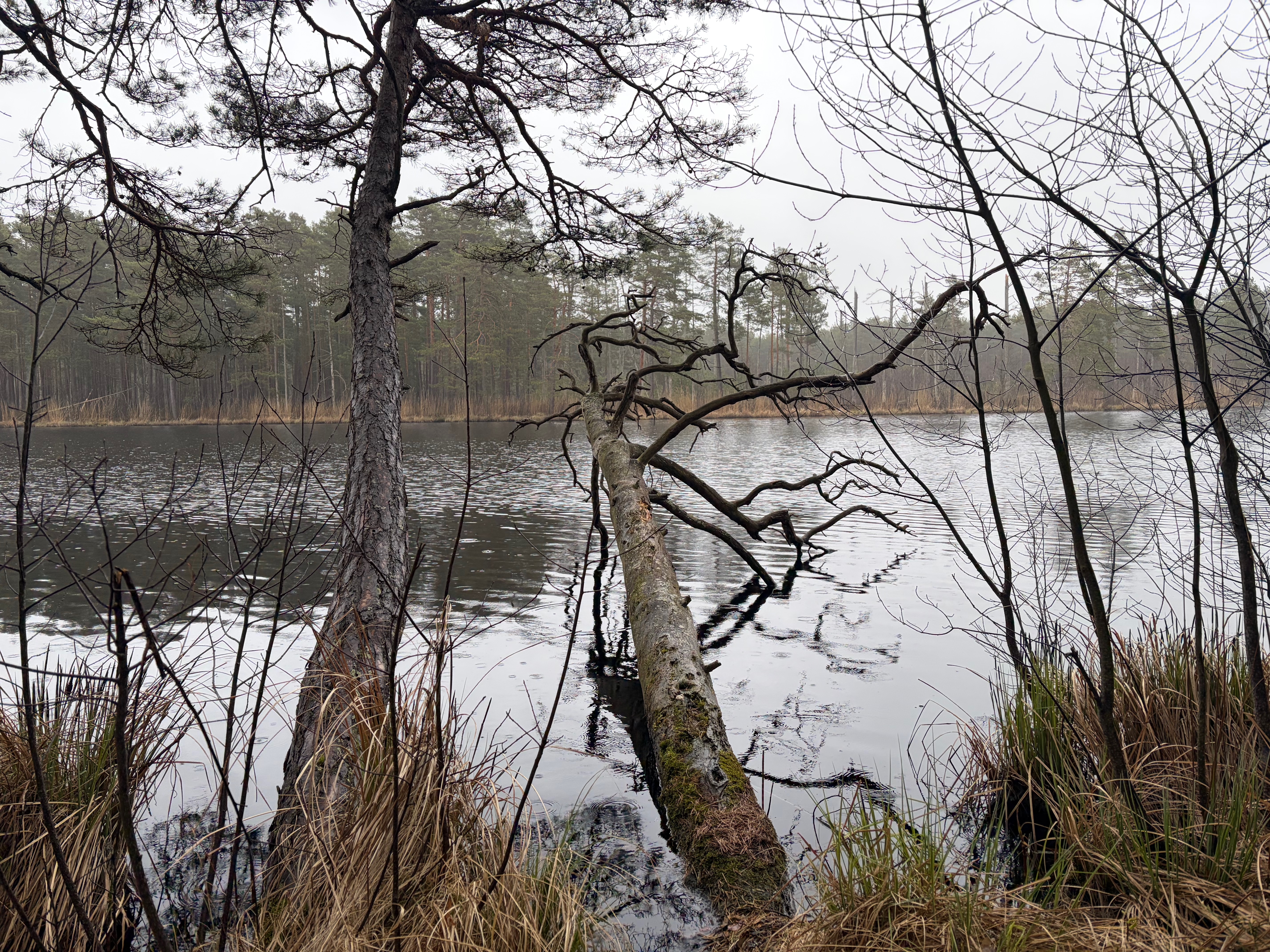Three Lakes Lilaste Latvia