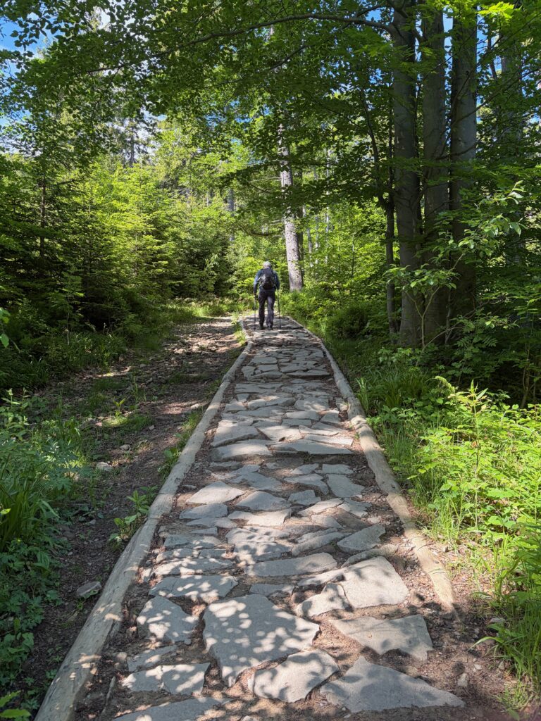 How to Hike Babia Góra
#BabiaGóra #Beskids #BeskidŻywiecki #Poland #Diablak #BabiogórskiParkNarodowy #PrzełęczKrowiarki #MountainHiking #Hiking #KoronaGórPolski #Tatras #ScenicHike #RidgeWalk #Carpathians