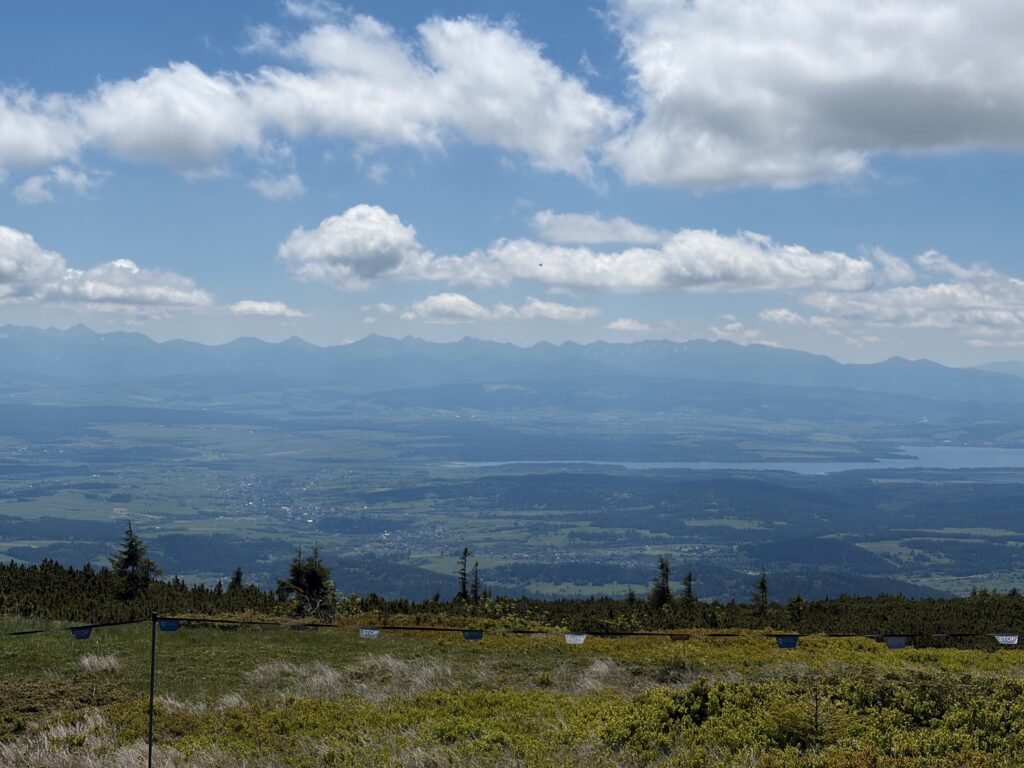 How to Hike Babia Góra
#BabiaGóra #Beskids #BeskidŻywiecki #Poland #Diablak #BabiogórskiParkNarodowy #PrzełęczKrowiarki #MountainHiking #Hiking #KoronaGórPolski #Tatras #ScenicHike #RidgeWalk #Carpathians