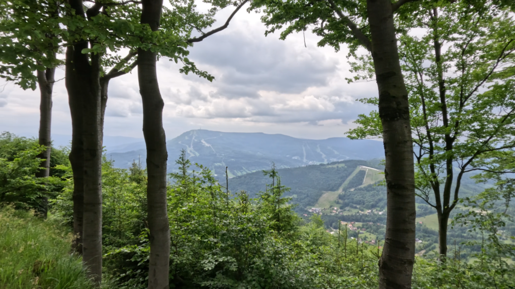 From Bielsko-Biała to Szczyrk over Szyndzielnia and Klimczok