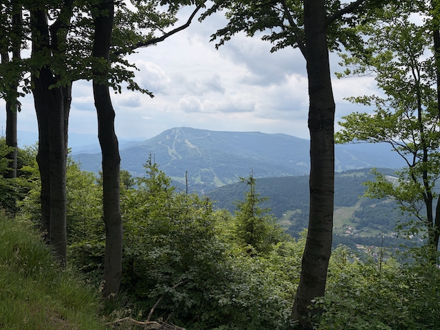 From Bielsko-Biała to Szczyrk over Szyndzielnia and Klimczok
